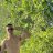 Mike_James